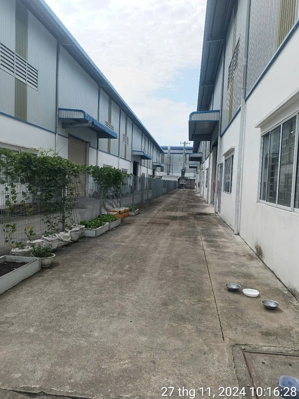 Hình ảnh ngoại khu