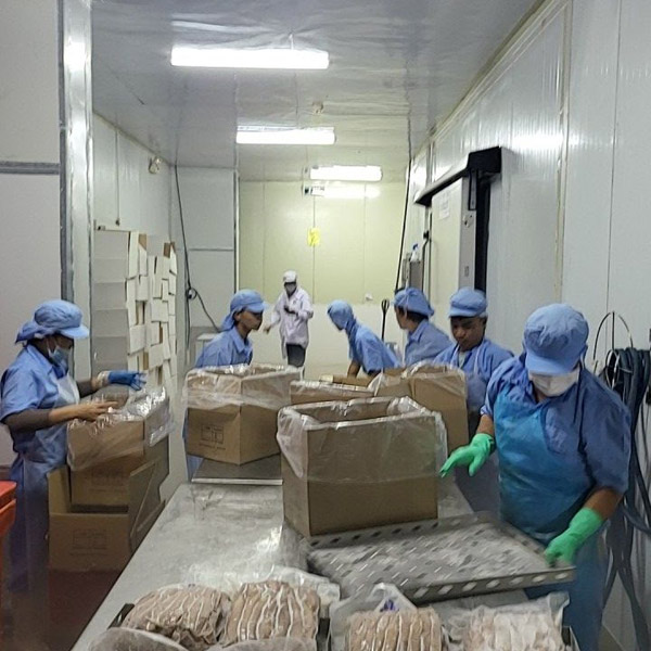 Hình ảnh nhà máy