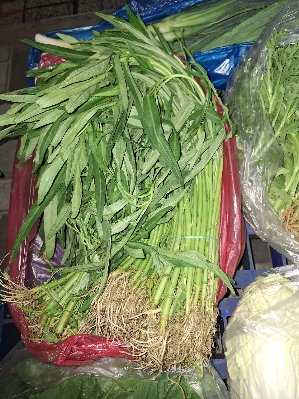 Hình ảnh thực tế công ty May Mặc Win Vina