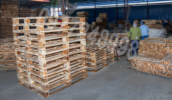 Hình ảnh xưởng sản xuất BNG