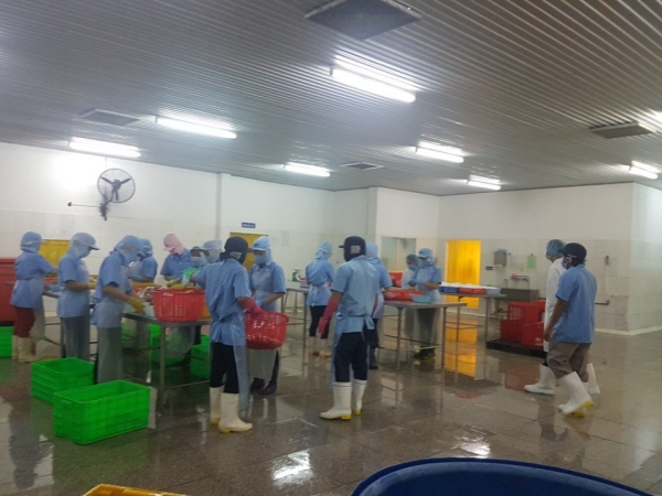 Hình ảnh xưởng sản xuất Tiến Thành