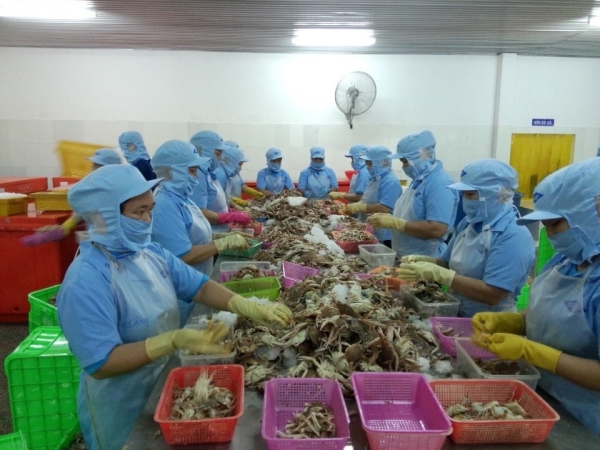 Hình ảnh xưởng sản xuất Tiến Thành