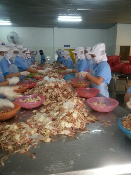 Hình ảnh xưởng sản xuất Tiến Thành
