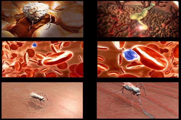 Xét nghiệm HIV