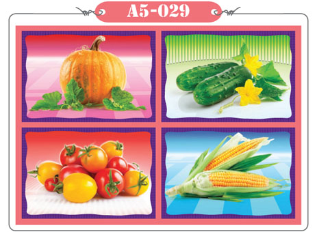 Xếp hình 12 mảnh