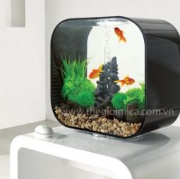 Hồ cá để bàn