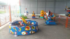 Hồ câu cá