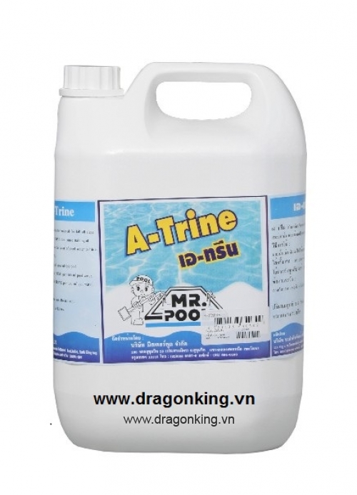 Hóa chất diệt rêu tảo hồ bơi