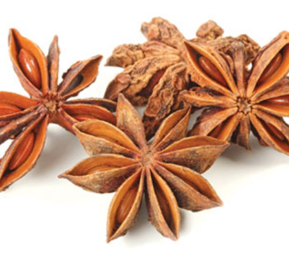 Hoa hồi