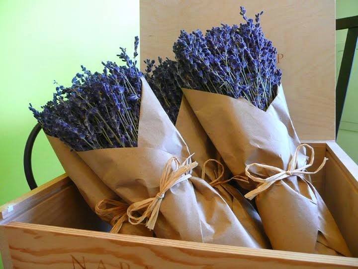 Hoa khô Lavender