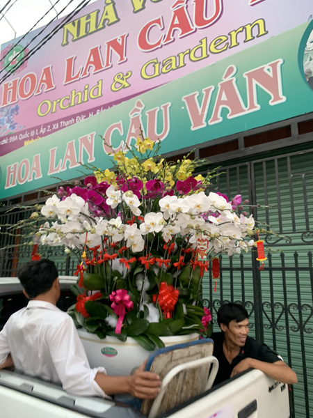 Trồng và cung cấp hoa lan