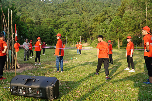 Hoạt động công ty