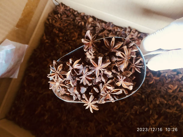 Hồi