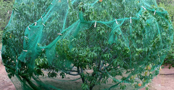 Lưới nông nghiệp