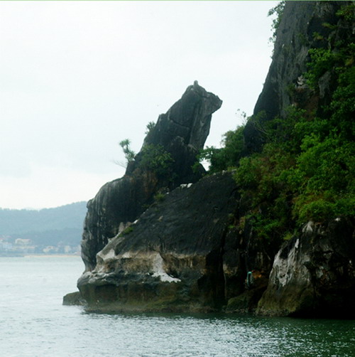 Hòn Chó Đá