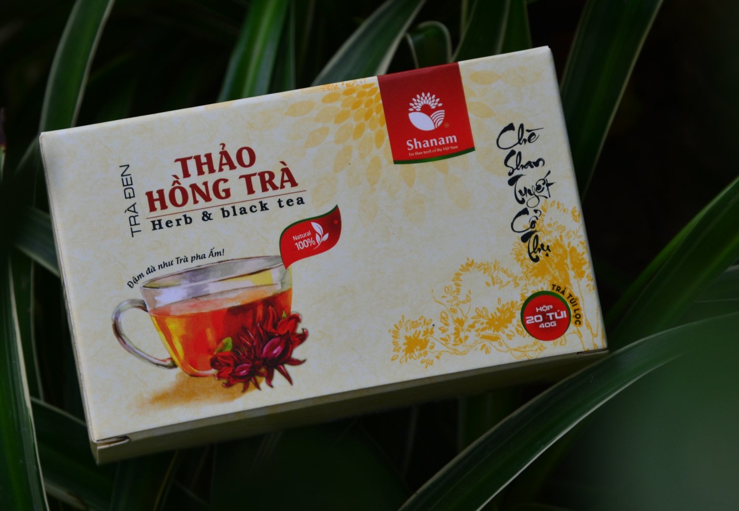 Hồng tà túi lọc