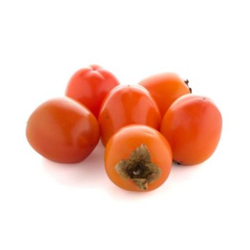 Hồng trứng Đà Lạt