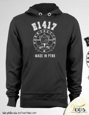 Hoodie trường Phổ thông Năng khiếu