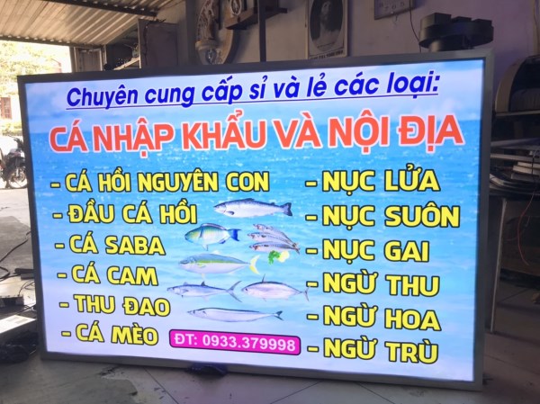 Hộp đèn UV