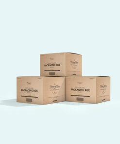 Hộp giấy carton