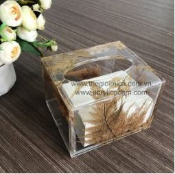 Hộp khăn giấy bằng Mica