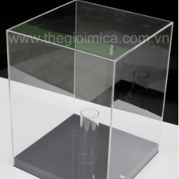 Hộp trưng bày hoa bằng Mica