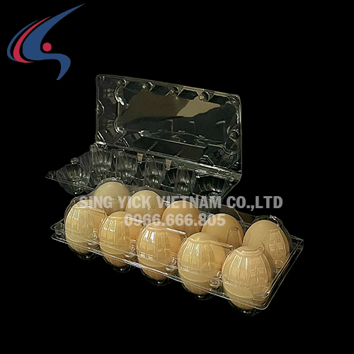 Hộp 10 trứng