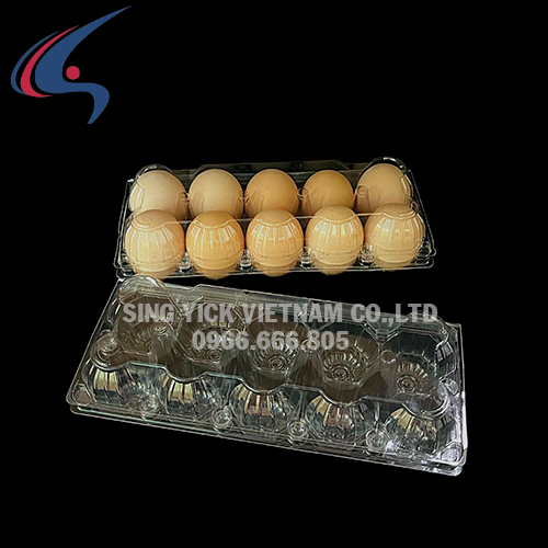 Hộp 10 trứng