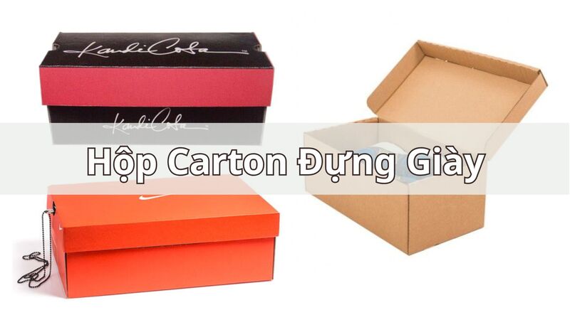 In hộp Carton đựng giày