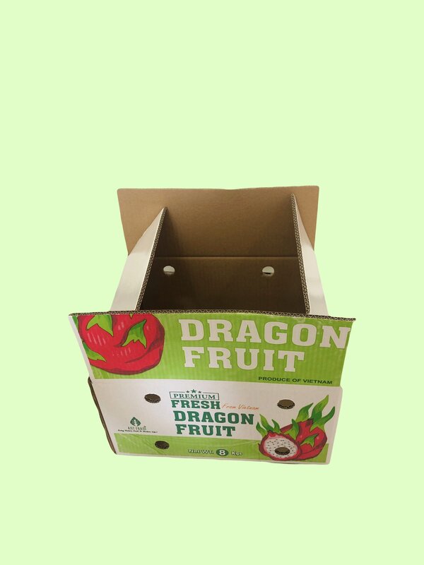 Hộp carton gấp
