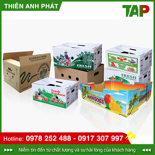 Hộp carton in Offset