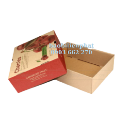 Hộp carton nắp rời