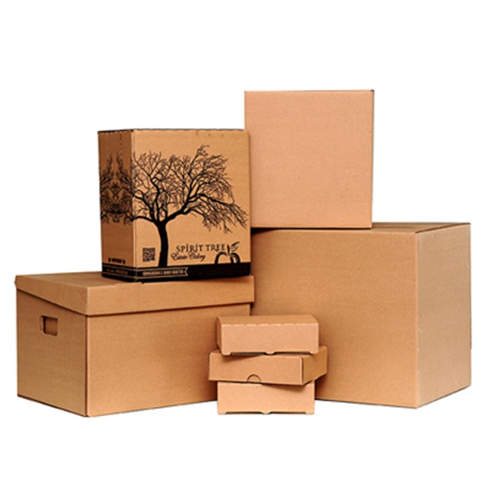 Hộp carton