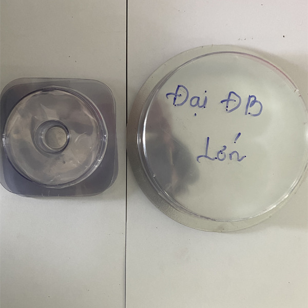 Hộp chụp bạc đạn