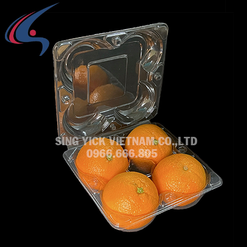 Hộp đựng hoa quả