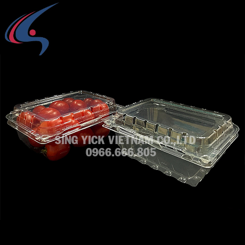 Hộp đựng hoa quả