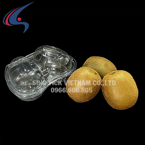 Hộp đựng hoa quả
