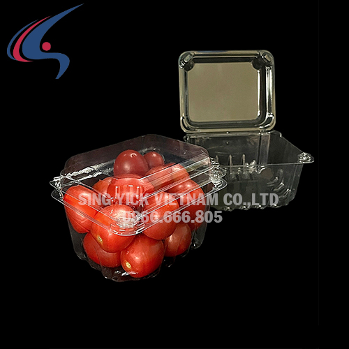 Hộp đựng hoa quả