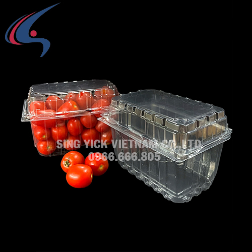 Hộp đựng hoa quả
