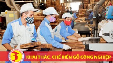 Huấn luyện an toàn