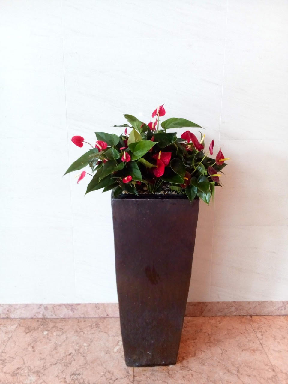 Thiết bị sân chơi