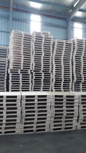 Xưởng sản xuất pallet