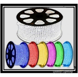 Led dây cuộn 100M