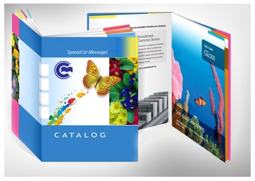 In catalogue
