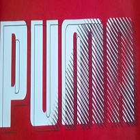 In logo trên vải