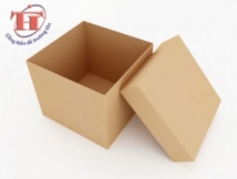 In bao bì carton nắp rời