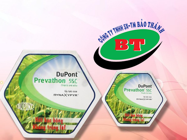 In kĩ thuật số trên nhựa pp - decal