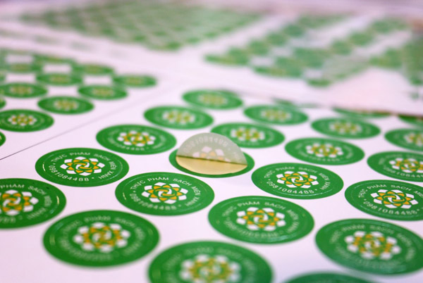 In logo dán chất liệu giấy