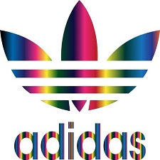 资质或荣誉图片