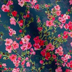 产品与服务